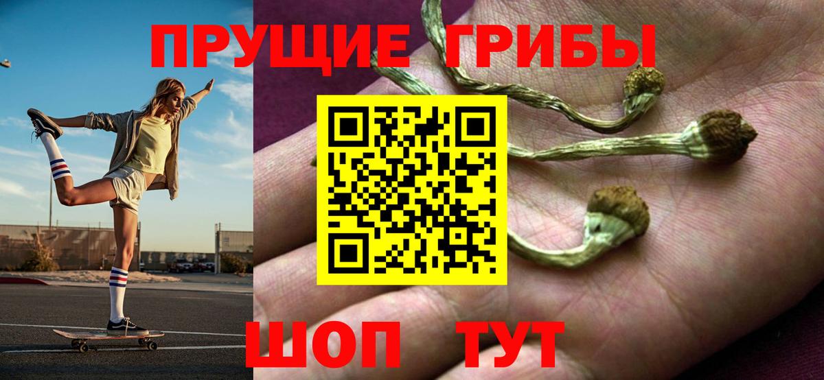 Псилоцибиновые грибы Magic Shrooms  Вход с VPN  купить закладку  Кондопога 